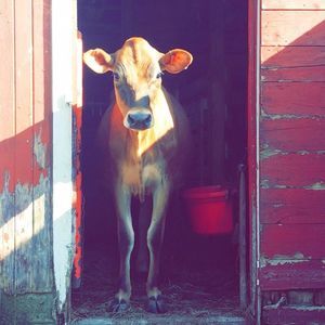 Meet your Posher, Kati